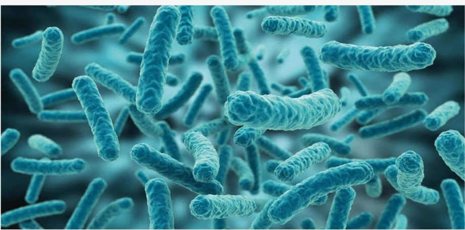 WhatsApp Image 2022-01-11 at 15.58.57