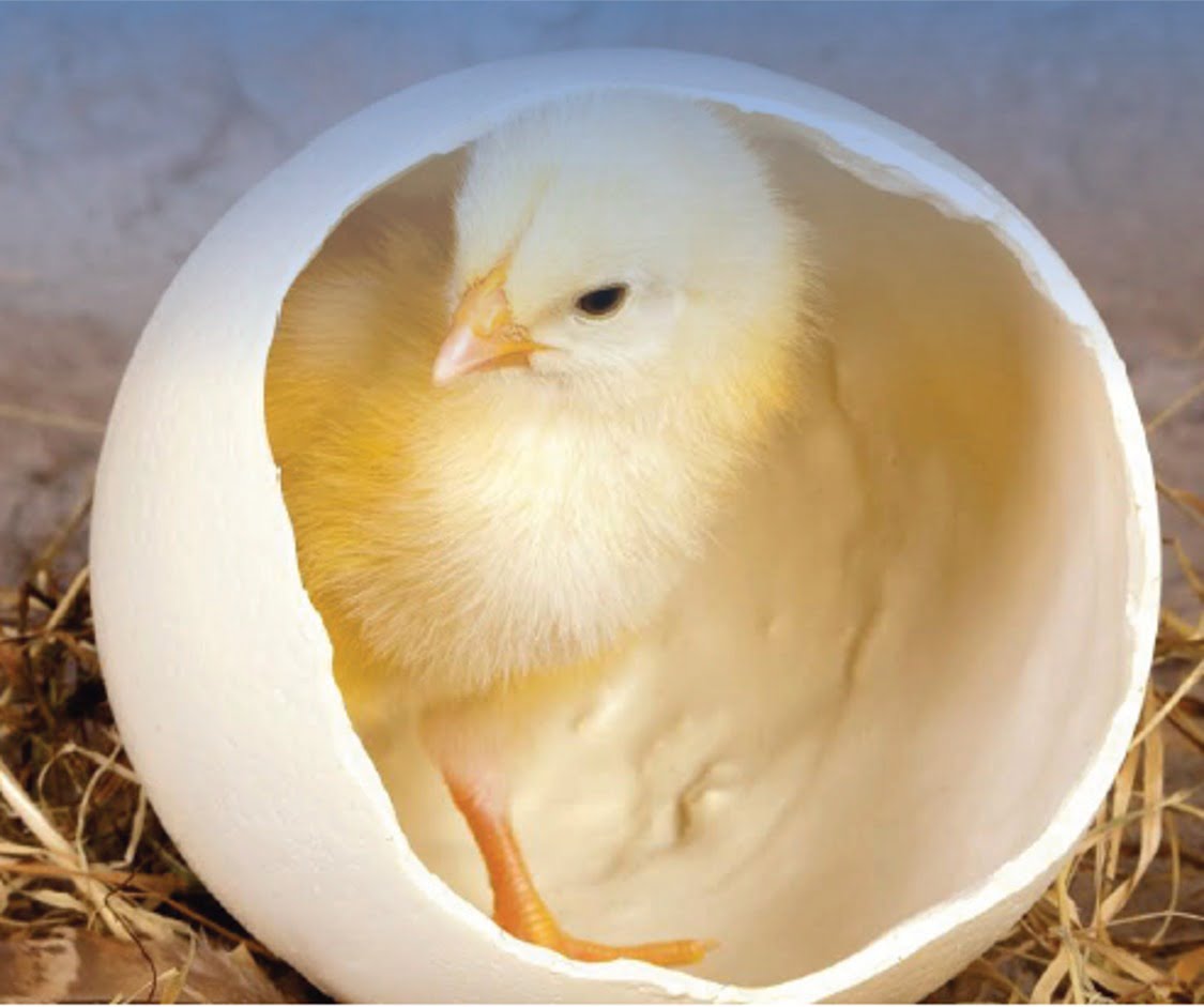 WhatsApp Image 2022-01-11 at 16.10.22